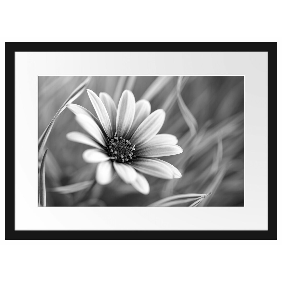 Gerahmtes Poster Blume in der Natur