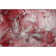 Premium Machine Washable Cerrito AMF518 Merlot Rug