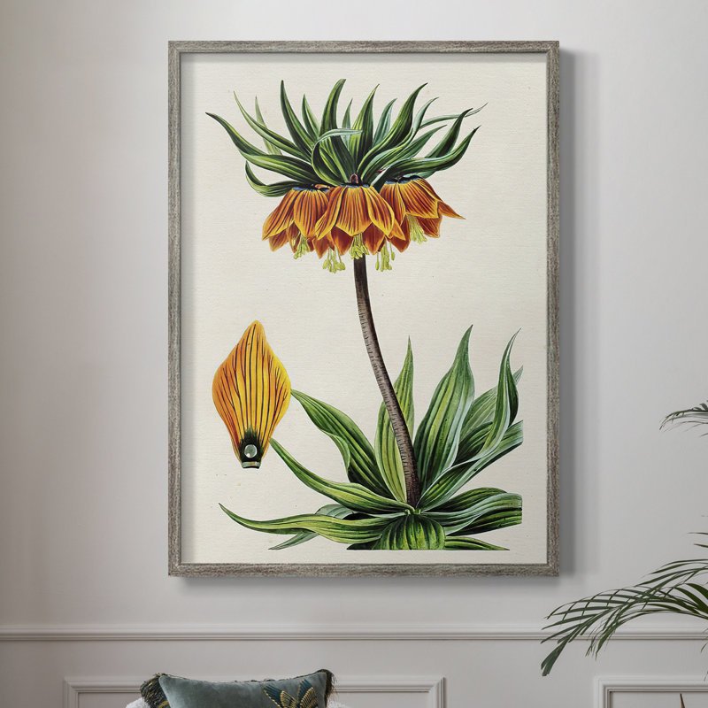 AntiqueFloralFolioVII, reproduction encadrée - bois massif 2768843, H 11 po x l 9 po
