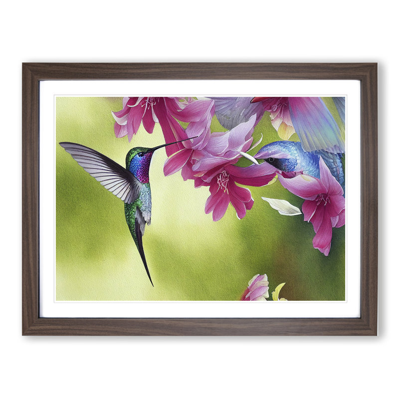 Hummingbird Vol.1 - Single Picture Frame Print, 34cm H x 46cm W x 2cm D, Walnut Framed