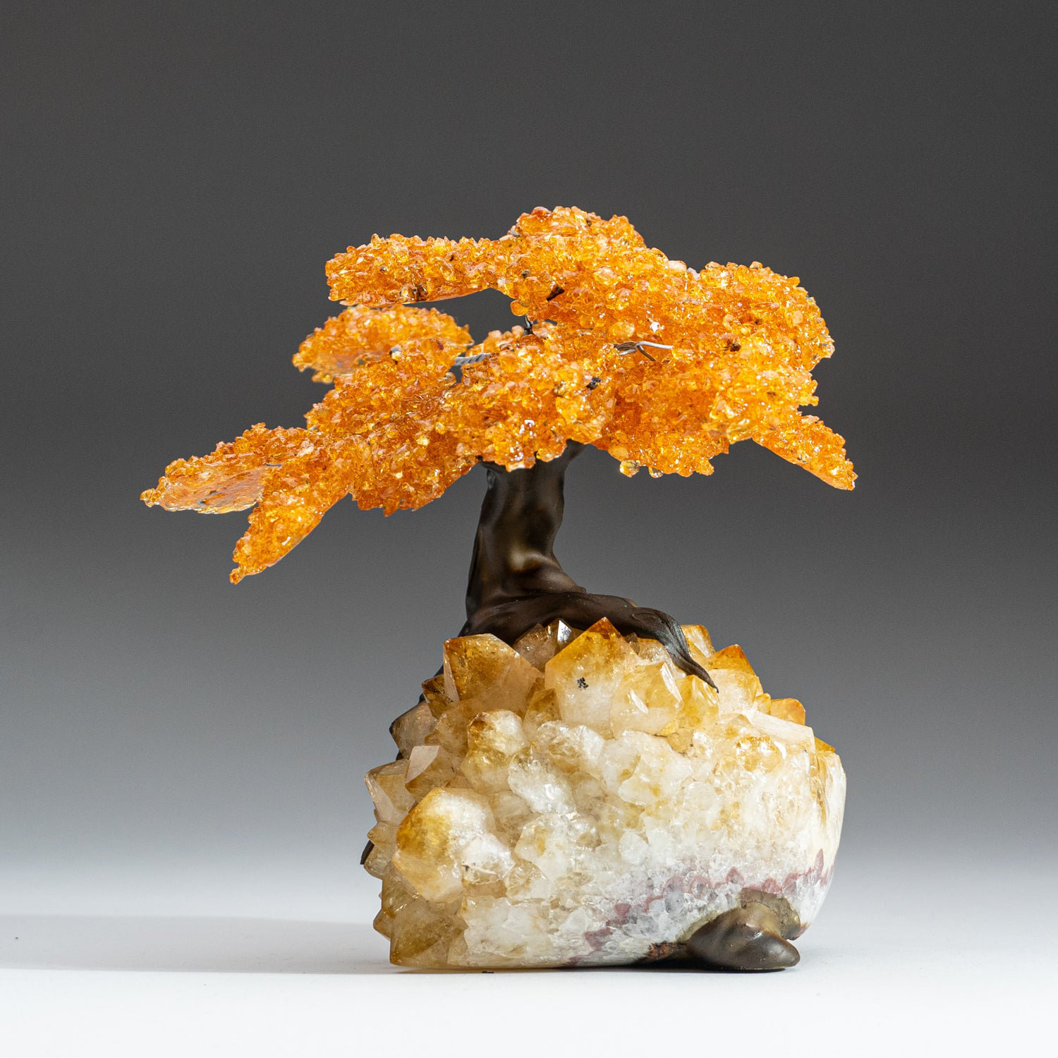 Astro Gallery of Gems Large - Citrine Clustered Gemstone Tree On ...