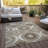  Malchow Area Rug-1455279642