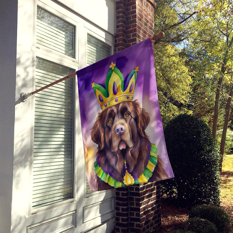 Drapeau de maison de Mardi Gras en polyester double face H 28 po x l 40 po
