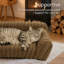 Canapé pour chat pour animaux de compagnie - Canapé-lit pliable pour animaux de compagnie à double couche, lit pour animaux de compagnie moyen et petit avec molleton en velours côtelé doux de qualité supérieure-149817705-149817703