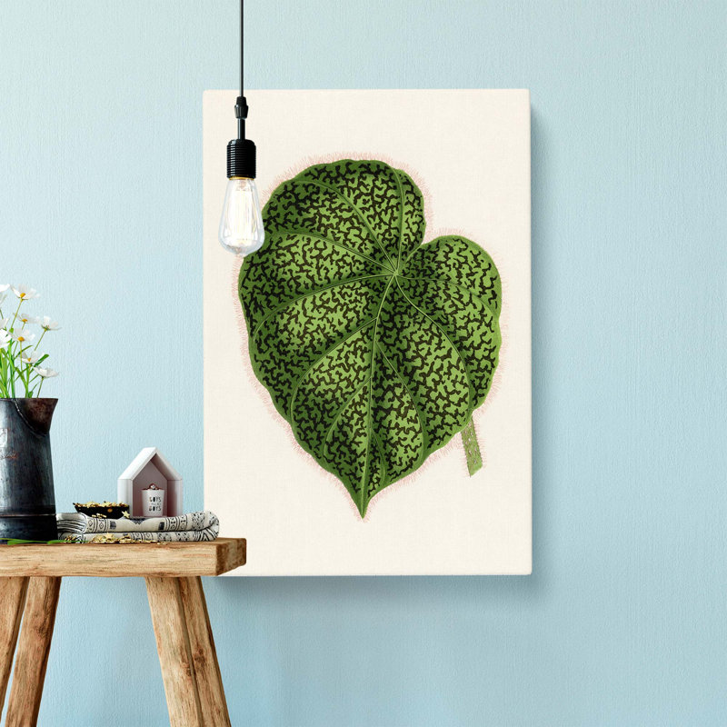 Illustration Of A Green Leaf by Benjamin Fawcett - Single Picture Frame Print, 60cm H x 40cm W x 3cm D, Wrapped Canvas