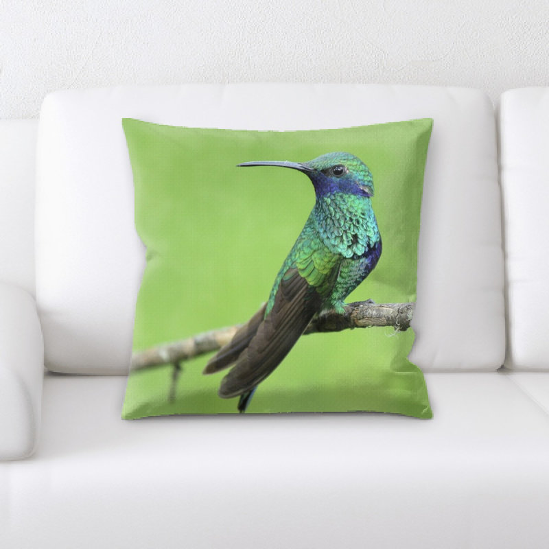 Coussin en jeté hummingbird