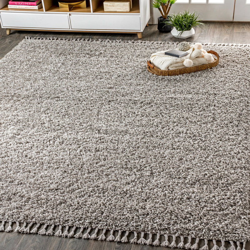 Felicdad Shag Plush Tassel Gray Rug, Rectangle 7'9" x 10'