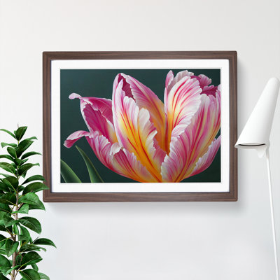 Heavenly Flower - Single Picture Frame Print