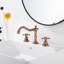 2-handle Bathroom Faucet with Drain Assembly-80451367