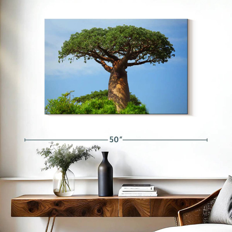 Baobab africain
