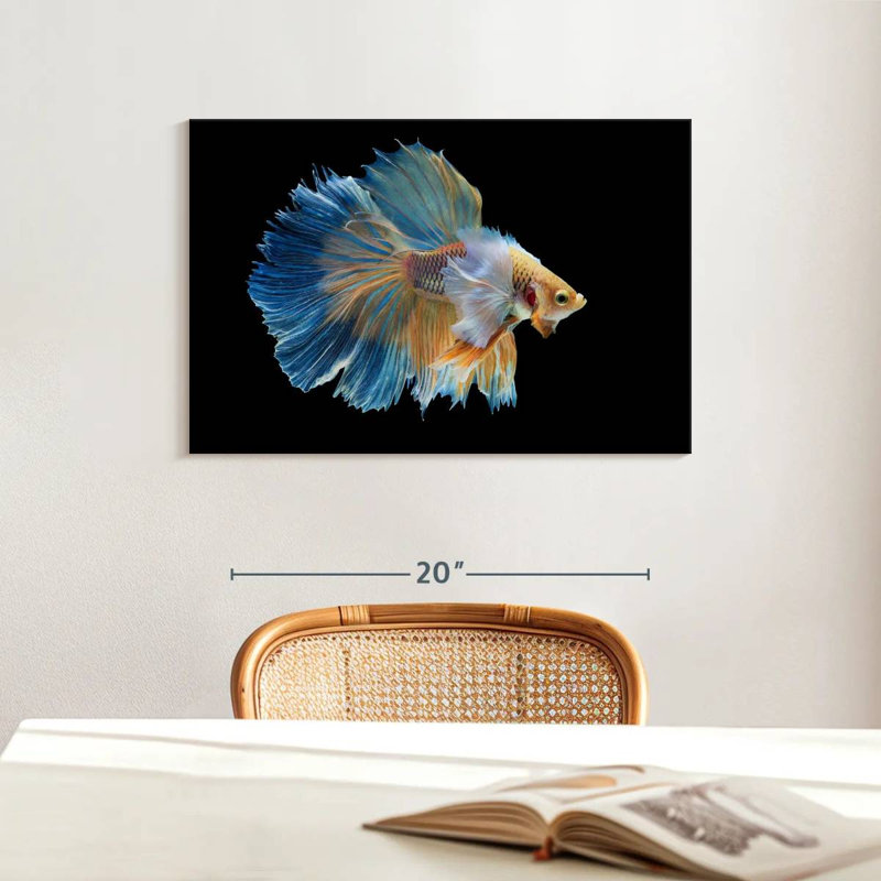 Brampt Sublime Fighter Fish, 16" H x 24" W