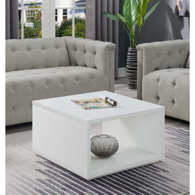 Haught Floor Shelf Coffee Table with Storage