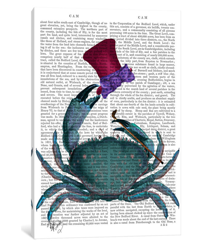 « the dandy crab », impression sur toile tendue, H 12 po x l 8 po x P 0,75 po, Toile tendue, Pas de tapis