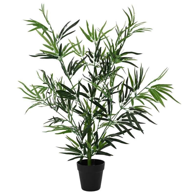 Plant, 1, 80cm H x 90cm W x 14cm D