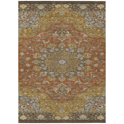 Machine Washable Indoor/Outdoor Chantille ACN2853 Global Rug
