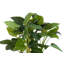 125cm Faux Banana Leaf Plant in Pot