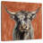 Brampt Highland Cow On Terracotta