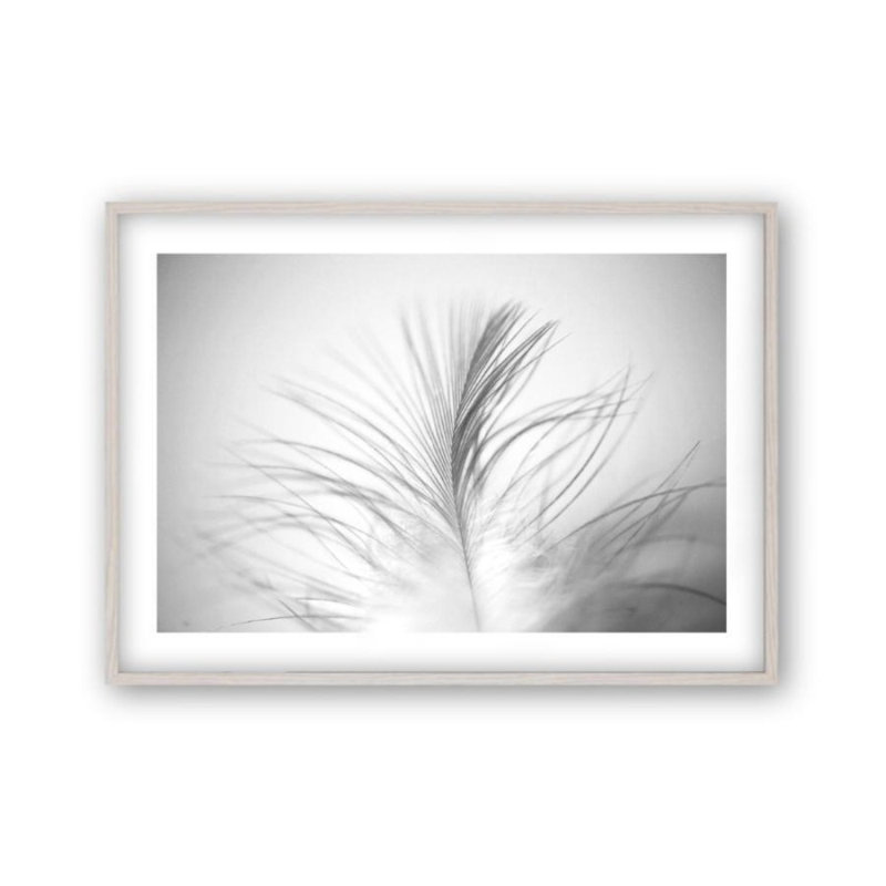 Print, 22 cm H x 31 cm W x 2.5 cm D, White Oak Frame