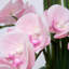 Arrangement floral artificiel