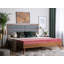 Aizza Upholstered Bed