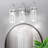 Carrocci 3 - Light Dimmable Crystal Vanity Light with Glass Shade