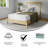 Paloalto CertiPur-US Certified 8 Inch Cooling Charcoal and Green Tea Pressure Relieving Memory Foam Mattress-1850107134
