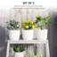 Pot Planter