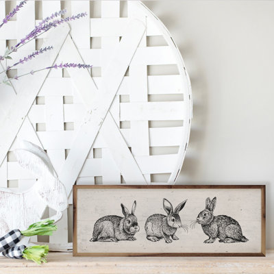 Trois lapins blancs
