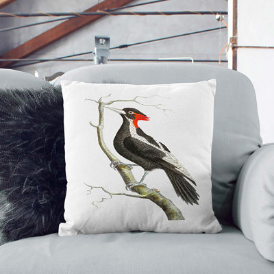 Square Cushion