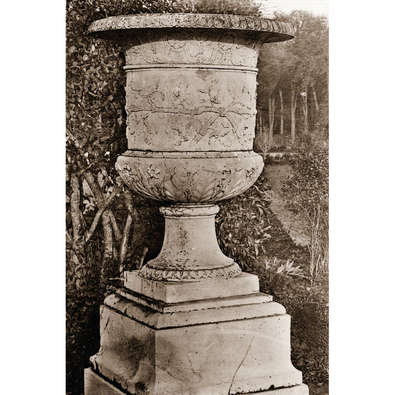 Versailles Urn II by LeDeley - Wrapped Canvas Print, 122cm H x 81cm W x 3.8cm D