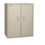 Fireproof Double Door Storage Cabinet