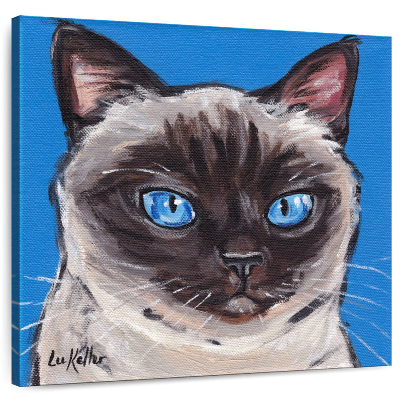 Chat siamois sur fond bleu, H 16 po x l 16 po