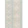Danya Aqua/Cream Indoor/Outdoor Area Rug