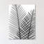 «Tropical Fern I», impression sur toile tendue-23604600