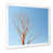 Cadre simple blanc