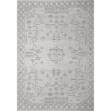 Mountmellick Oriental Handwoven Recycled P.E.T. Indoor / Outdoor Area Rug in Driftwood