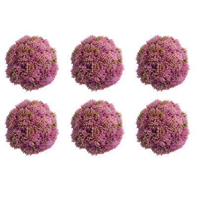 Boules de Sedum décoratives