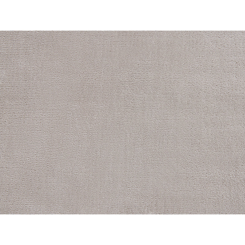 Godinne Viscose Hand Woven Area Rug, Rectangle 200 x 300cm