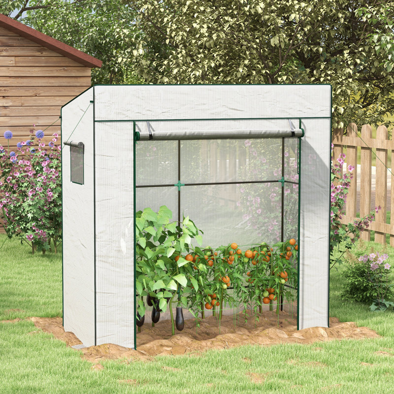 Britnie 6.5 Ft W x 2.6 Ft D Hobby Greenhouse, White