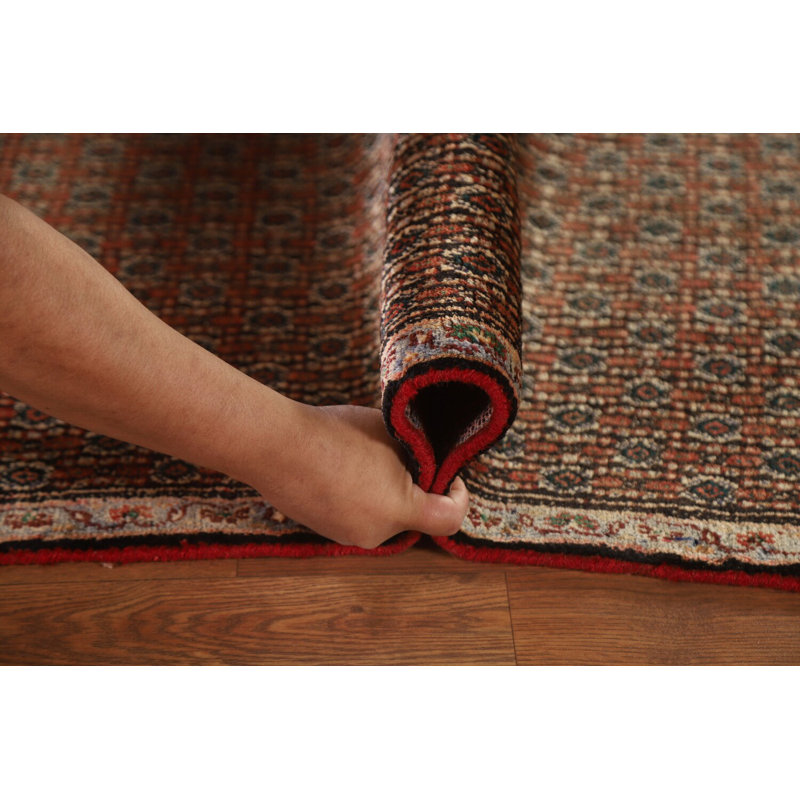 Tapis de couloir traditionnel All-Over 3 x 11