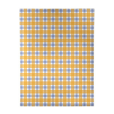 Plaid Indoor Rug