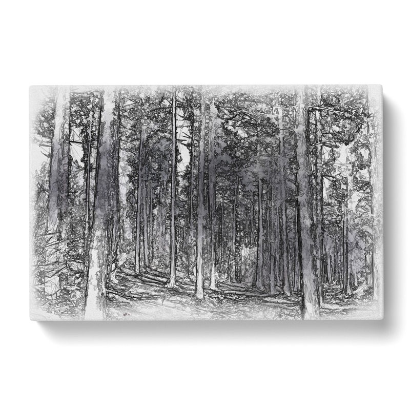 Conifer Tree Forest Vol.1 Sketch - Wrapped Canvas Print, 35cm H x 50cm W x 3cm D