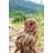 Animals Weather Resistant Water Resistant UV Resistant Polyresin Garden Statue