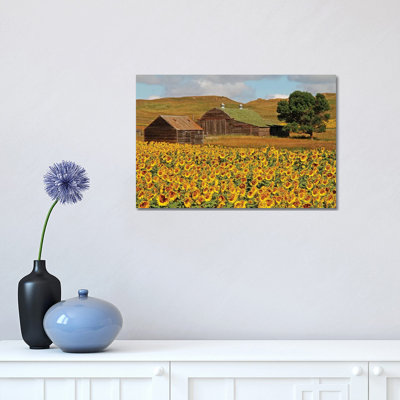 Sunflower Field 1 Piece Wrapped Canvas Wall Art