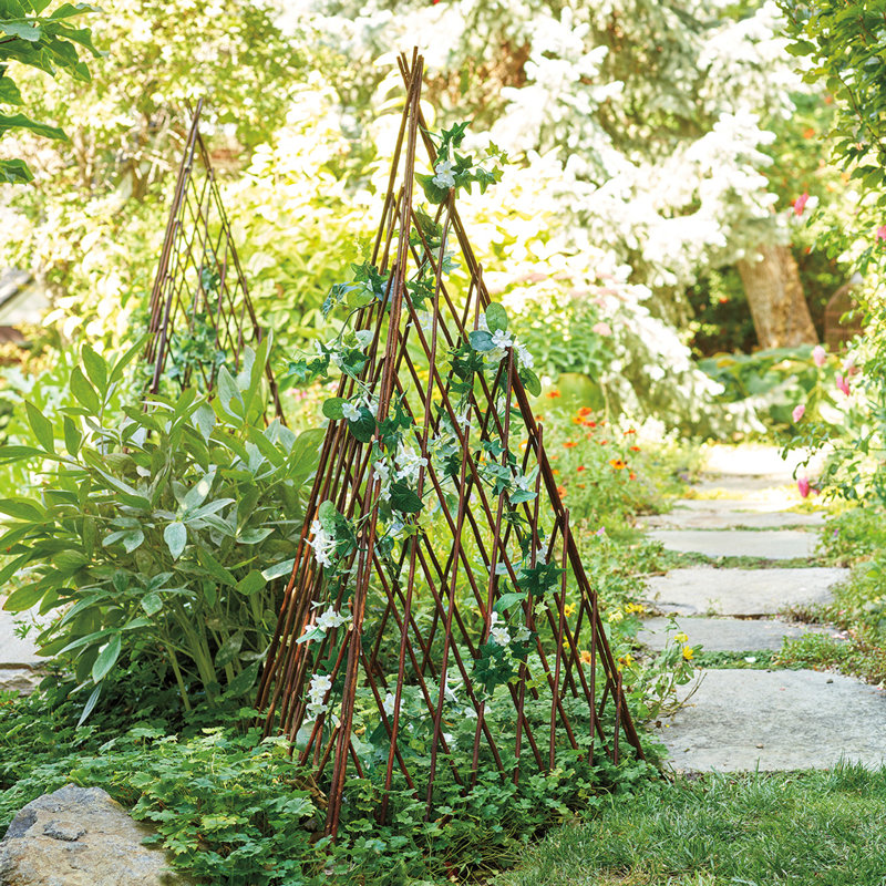 Treillis de saule extensible Willow, H 72 po x l 12 po x P 1 po, Brun