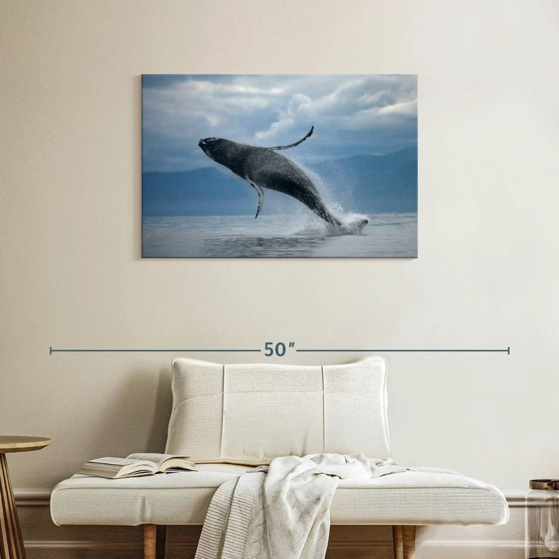 Brampt Breaching Humpback Whale