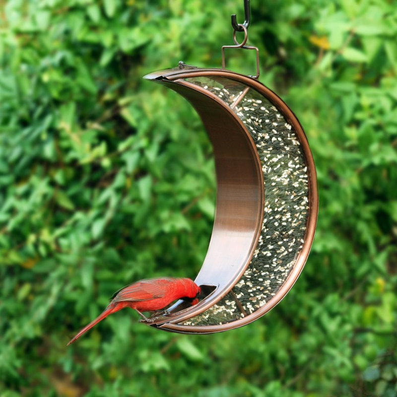Mangeoire d'oiseaux Barnab