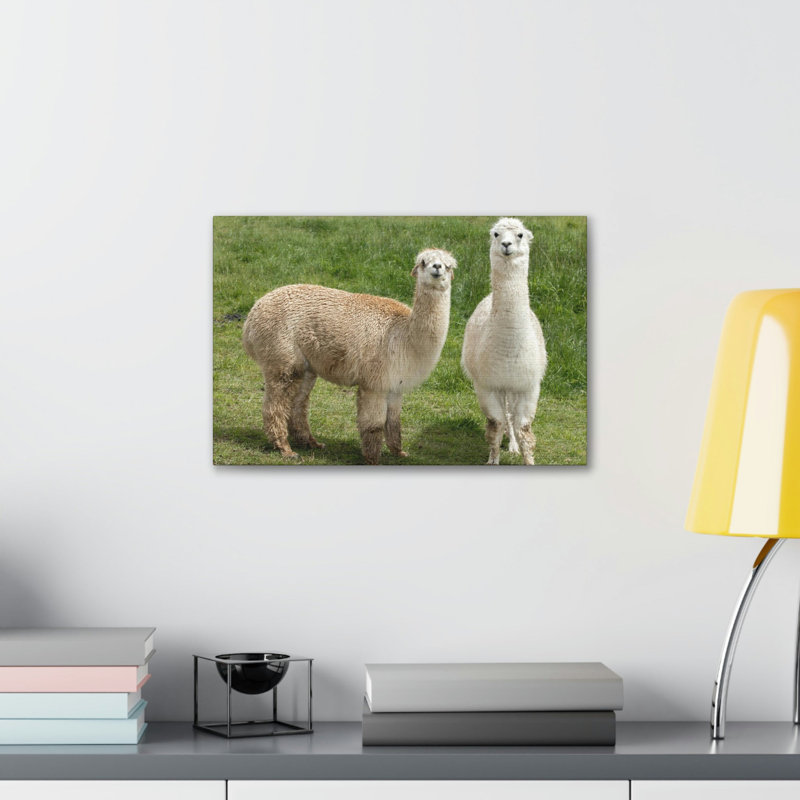 Wall Art on Canvas