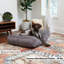 Lit pour chien Olivarez Classic-1708492253-1708492243