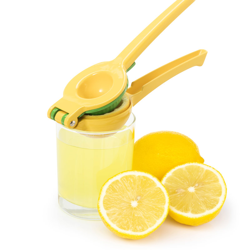 Oggi Prep Citrus Juicer